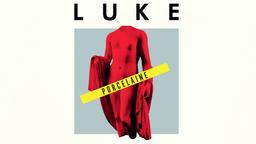 Porcelaine / Luke | Luke. Musicien. Ens. voc. & instr.. Chanteur