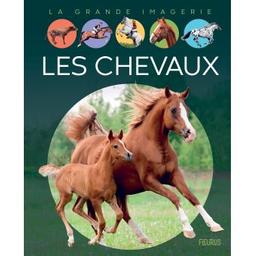 Les chevaux | Vandewiele, Agnès. Auteur