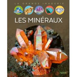 Les minéraux | Simon, Philippe. Auteur