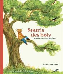 une année dans la forêt : souris des bois | Snow, William (19..-....) - auteur pour la jeunesse. Auteur