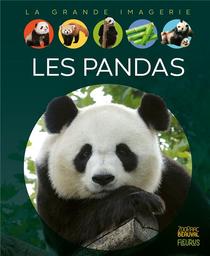 les pandas | Redoulès, Stéphanie. Auteur