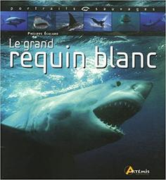 Le Grand requin blanc | Ecalard, Philippe. Auteur