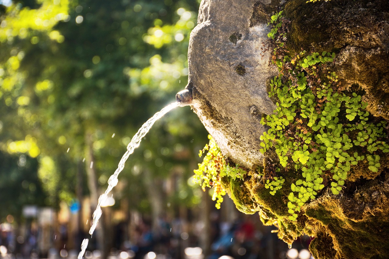 L'eau et les fontaines en Provence | 